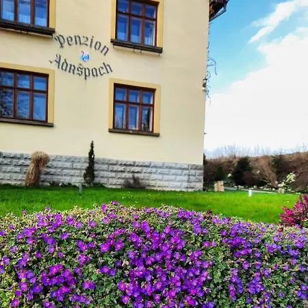 Guest house U Bary