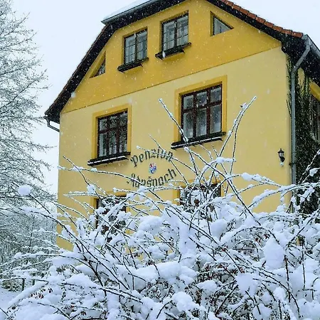 U Bary Guest house *